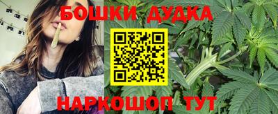 индика Бузулук