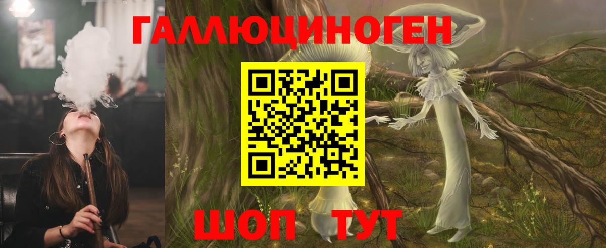 Хасавюрт  Псилоцибиновые грибы мицелий  Вход с VPN 