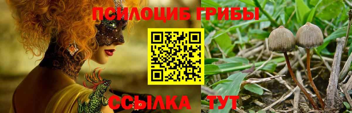 Псилоцибиновые грибы GOLDEN TEACHER Хасавюрт